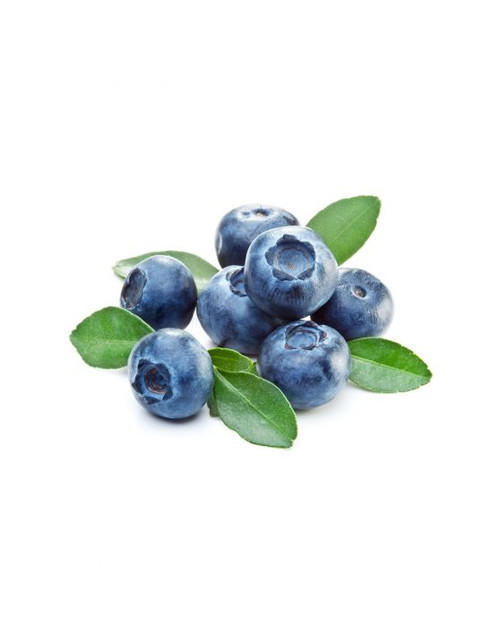 Blueberry-Cap-Gallon