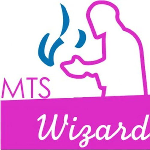 MTS Wizard Flavor-FA