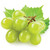 White Grape Flavor-FW