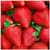 Sweet Strawberry Flavor-TFA