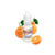 Mandarin Orange Flavor-FLV