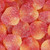 Peach Gummy Candy Flavor-TFA