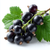 Blackcurrant Flavor-FA