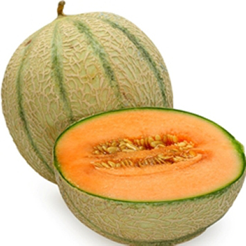 0032-cantaloupe.jpg