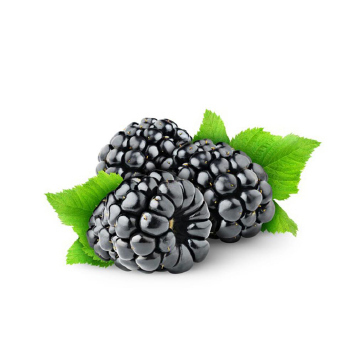 a086-blackberry.jpg