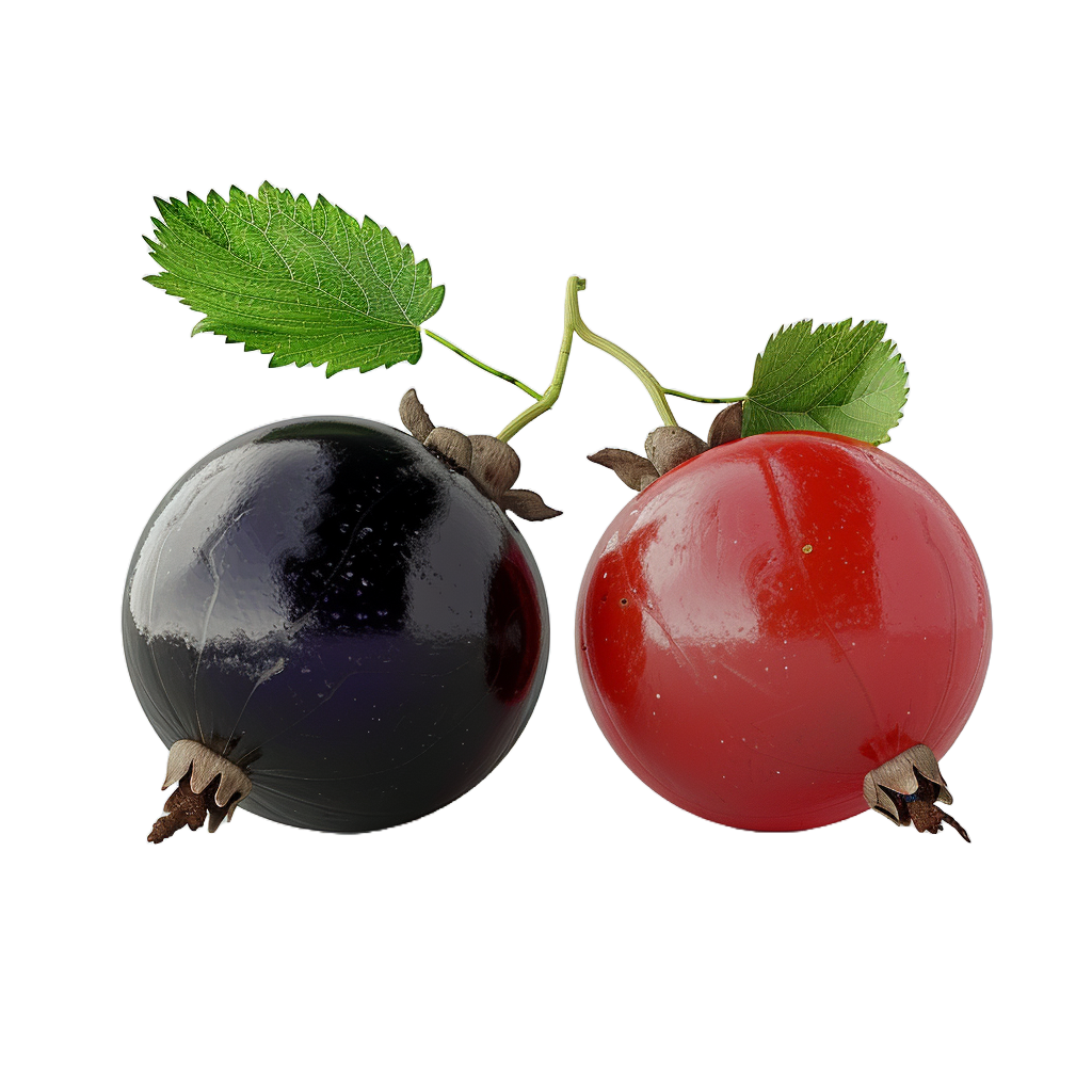 currants-1.png