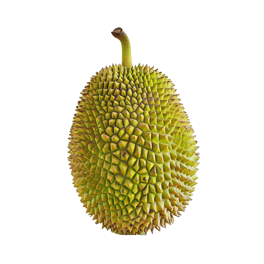 jackfruit-1.png