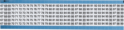 Brady Label - TWM-67-99-SC-PK