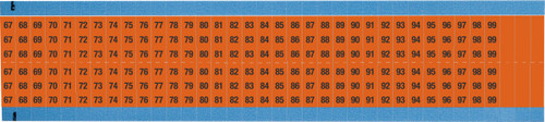 Brady Label - WM-67-99-OR-SC-PK