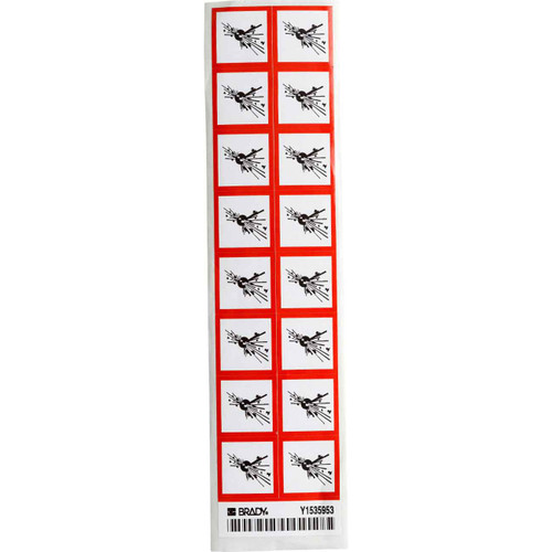 118870 Brady  Label - Image1