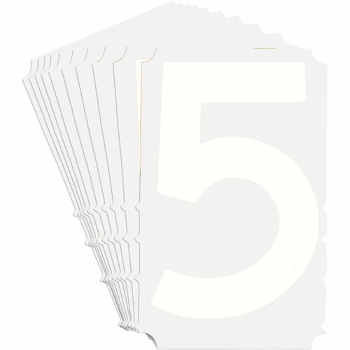 5210P-5 Brady  Label - Image1