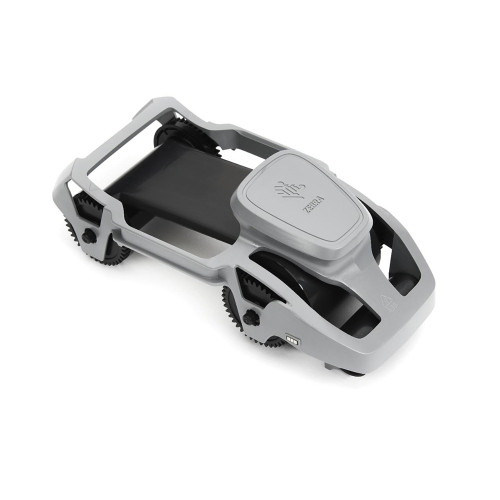 800300-303 Zebra True Colors Ribbon