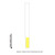 Zebra 1" x 11" Z-Band Direct Wristband (Yellow) (Roll) - 10003854-2-EA