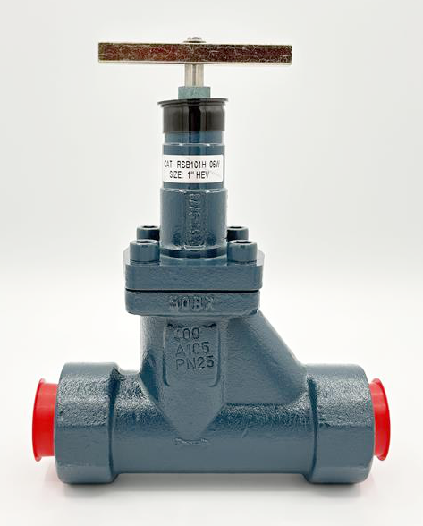 blue painted rsb101h hansen valve