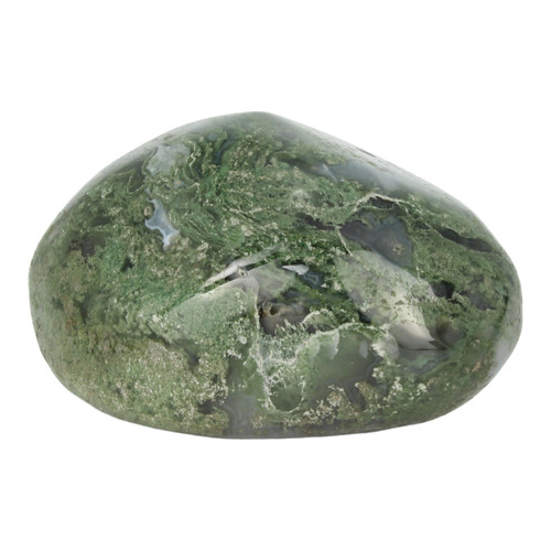 Power Stone, Moss Agate

A stone of growth attracting abundance on all levels. Helps to increase prosperity and expansion in business. Also known for its benefits in promoting the growth of new crops. Planted in a pot or flower bed, it increases the overall health of plants. Enhances mental concentration, persistence, and endurance. Useful for clearing personal energy and grounding. Attracts new friendships, love, or the re-growth of a former love.