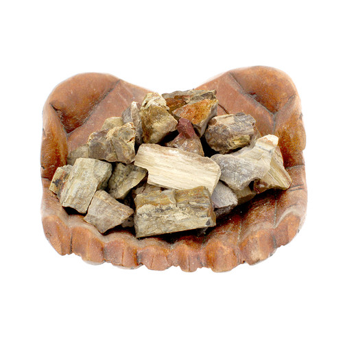 Raw Petrified Wood ~

Petrified Wood is from the Greek root Petro meaning rock or wood fossilized into stone. A grounding stone helping to stabilize emotions and calm fears. Use to help assist in past life work and connect more with earth energies.