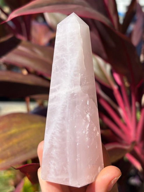 Rose Quartz Tower ~ Rose Quartz Tower ~