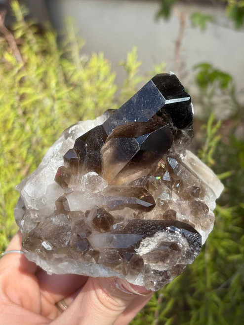 Smoky Quartz Cluster – Grounding & Protection Healing Crystal