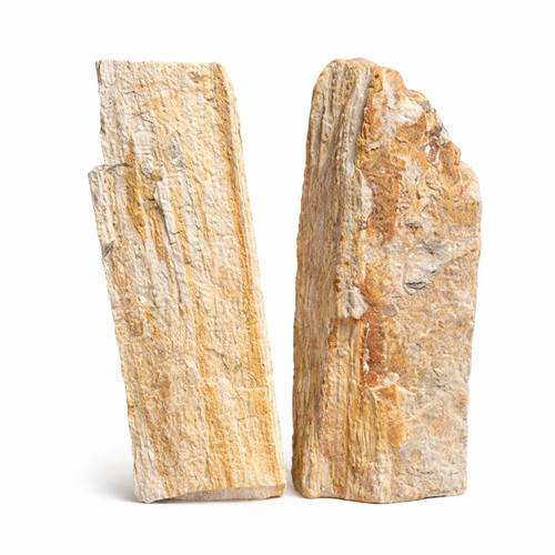 Petrified Wood Slabs – Natural Fossilized Wood