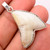 Genuine Shark Teeth Pendant