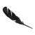 Black Smudging Feather