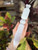 Selenite Dagger with heart