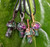 Wire-Wrapped Crystal Mushroom Necklace - ruby zoisite