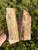 Petrified Wood Slabs – Natural Fossilized Wood
