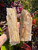 Petrified Wood Slabs – Natural Fossilized Wood