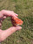 Vanadinite Raw