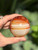 Carnelian Sphere with Gold Stand