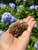 Raw Vanadinite- Pieces Vary