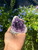 Amethyst Crystal Clusters - Pieces Vary Amethyst Crystal Clusters - Pieces Vary
