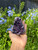 Amethyst Crystal Clusters - Pieces Vary Amethyst Crystal Clusters - Pieces Vary