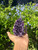Amethyst Crystal Clusters - Pieces Vary Amethyst Crystal Clusters - Pieces Vary