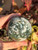 Moss Agate Sphere With Stand