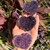 High-Quality Amethyst Crystal Heart (Pieces Vary)