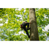 NOTCH ERGO CLIMBERS (TREE GAFFS)