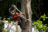 HUSQVARNA 564XP 28"  3/8P .058G 62.4CC  CHAINSAW