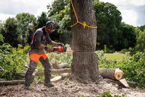 HUSQVARNA 564XP 28"  3/8P .058G 62.4CC  CHAINSAW