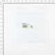 B&S CARBURETOR OVERHAUL KIT 555605