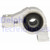 Delphi PSA Citroen C5 Trailing arm / Suspension arm bush 352395 352384 TD558W 352395 3523AR