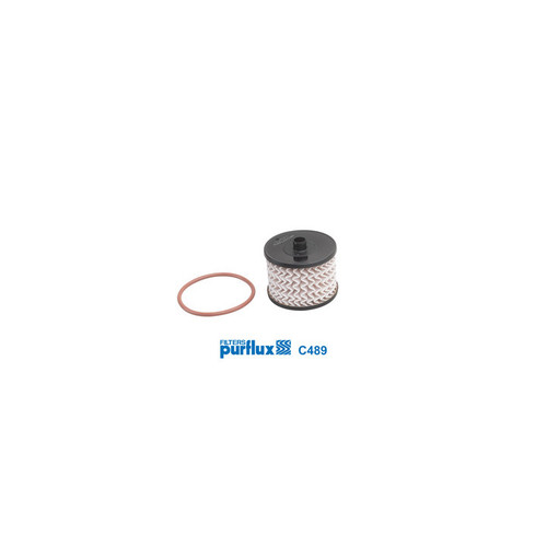 Peugeot Citroen Fuel Filter 190689 AA Auto Parts