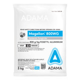 Magellan 800WG Systemic Fungicide