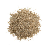 A4 Bentgrass Turf Seed