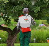 Solo 441Li | 16 Litre Battery Operated Sprayer