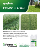 Primo HG | Turf Growth Regulator
