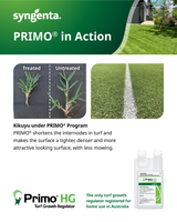 Primo HG | Turf Growth Regulator