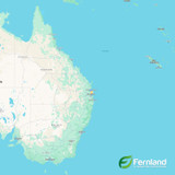 Fernland's New Regular, Scheduled Delivery Service: Going the Extra Mile for You