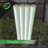 Choosing the Right Plant Support: The Case for Fibreglass Stakes